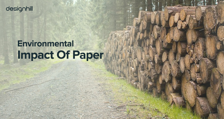 Environmental Impact Of Paper